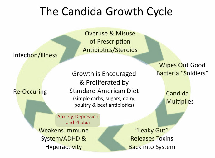 Candida Overgrowth Cycle And How It May Have Added To My Fear, Anxiety and Emetophobia